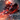 【PRE-ORDER】Custom cape set for Moshow progenitor effect Knight of Ash