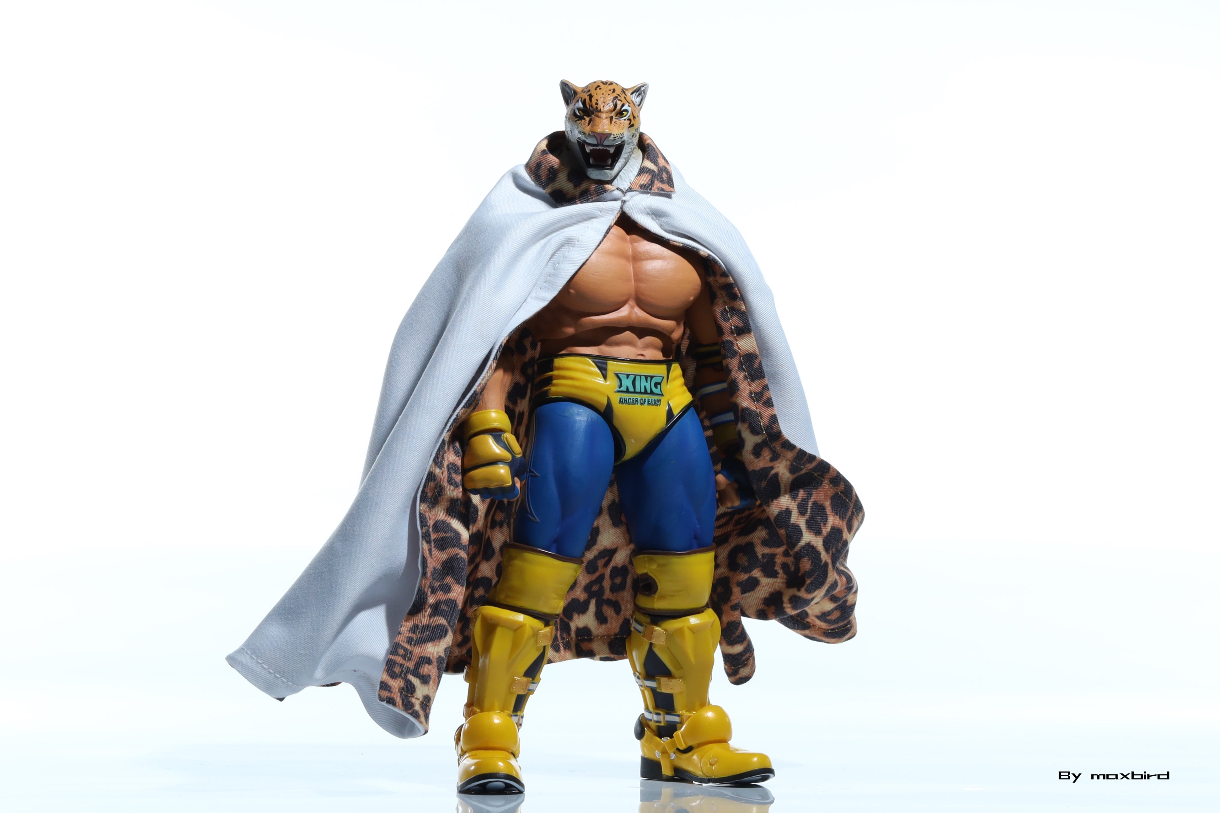 【READY FOR SHIP】【Clearance Sale】Custom  cape for Storm Collectibles Tekken "King"